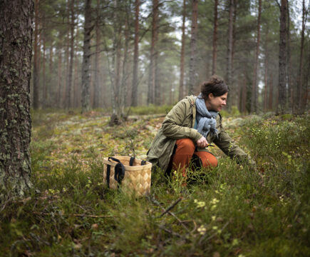 Ruokatoimittaja Anu Brask on sienihullu maailmanmestari. Loviisan metsiä hän rakastaa.
