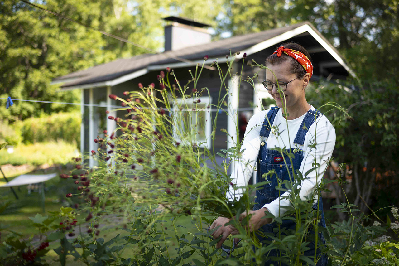 Jo muutaman vuoden omalta pihaltaan leikkokukkia myynyt Anna Palasmaa valitsee puutarhaansa vain suosikkejaan – muita siellä ei olekaan.